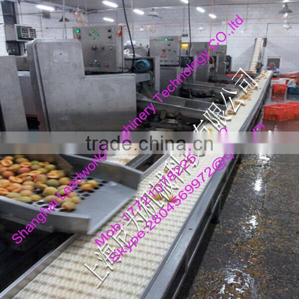 Peach Preserves produce machine