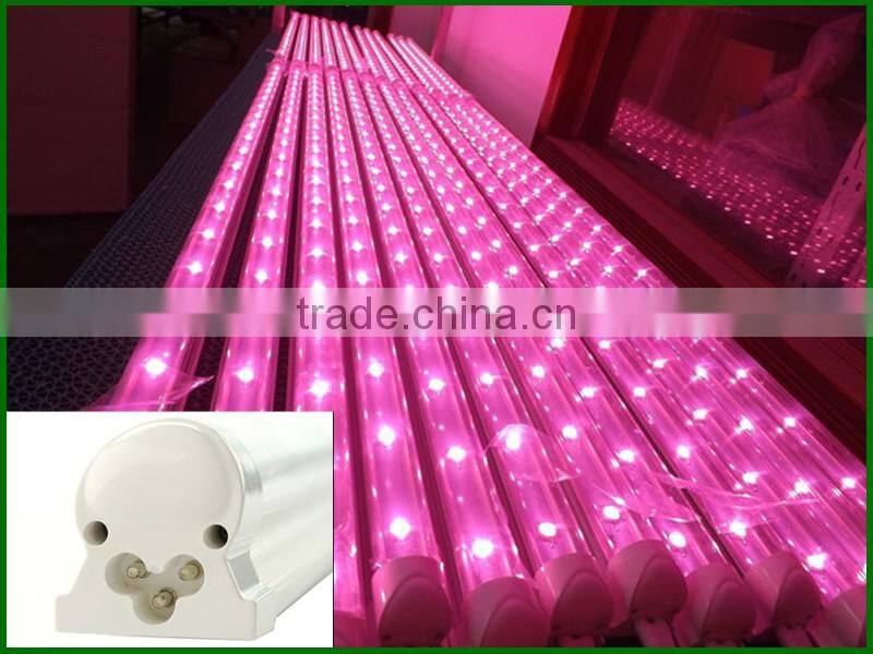 Horticultural led lamp grow led lights strip,light wavelength meter 660nm led