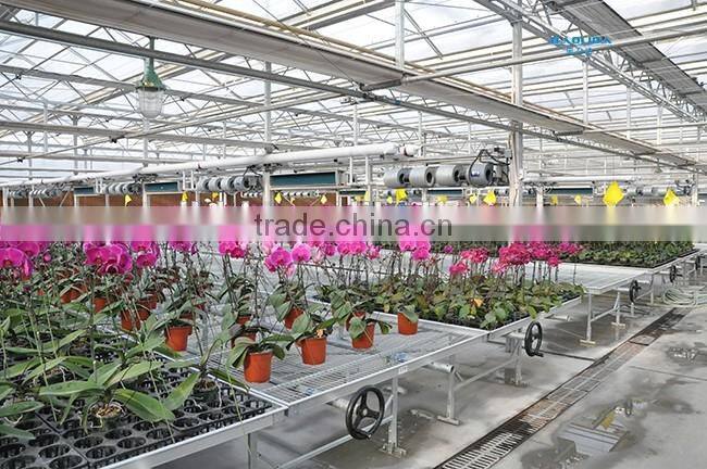 Hydroponic Greenhouse For Vegetable
