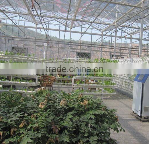 Tomato Greenhouses Structure with Hydroponic System