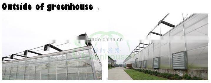 Promotional Used Greenhouse Frames For Sale