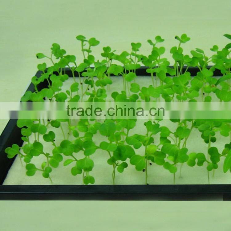 Factory sale black and white color hydroponic seedling cultivation foam sheet