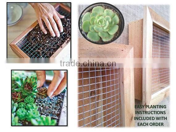 Outdoor Wooden Flower Pot, FSC Wood Planter, Planter Box