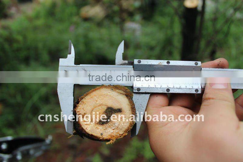 telescopic anvil lopper (GS certified)