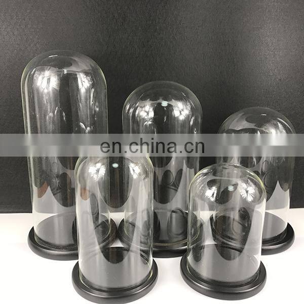 Glass Display Cloche Bell Jar Dome Flower Immortal Preservation Vase Wooden Base