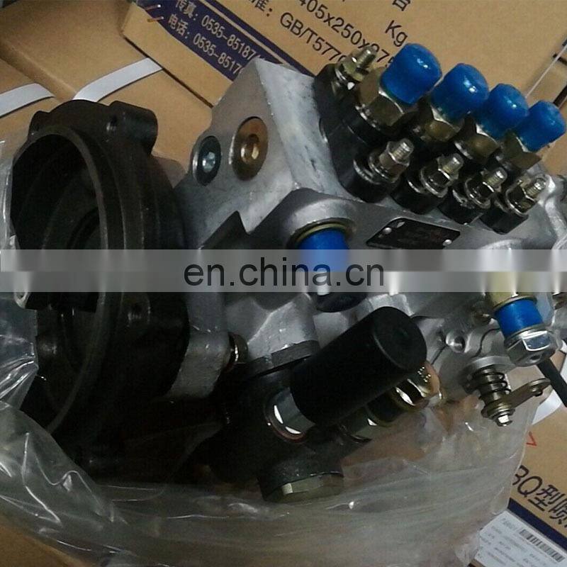 BJAP Injection Pump 4QTE20 BH4QT95L9 E049331000255