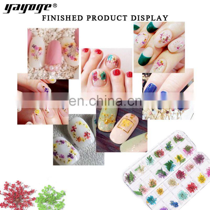 Dry Flower Nail Digit Nail And Smart Flower Printer