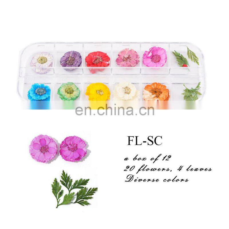 Dry Flower Nail Digit Nail And Smart Flower Printer