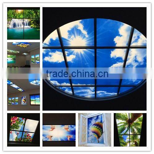 Japanese style sakura sky ceiling panel light