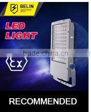 1000W Halogen Floodlight