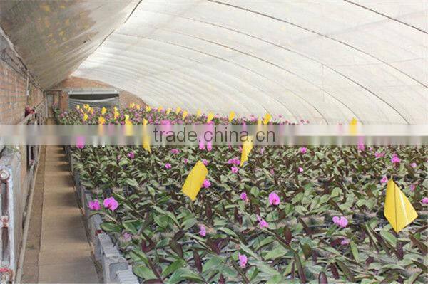 solar greenhouse from big manufacturer