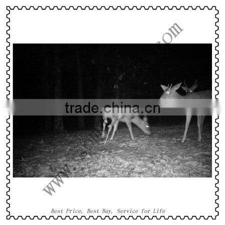 12MP MMS hunt camera with 24 count red flash infrared GSM/Email external antenna Ltl Acorn Ltl 5210MM