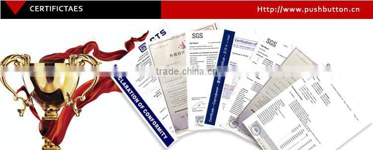 19mm stainless steel Flat Actuator electrical pushbutton switch with 6vdc ring Orange LED