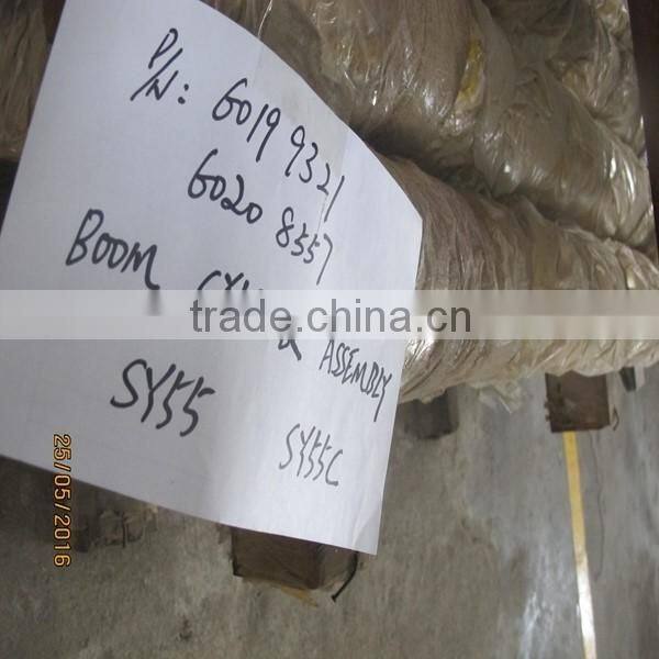 BOOM CYLINDER ASSY FOR 2096006 1799789 1915587 2590724 2033906 1799182 1915548 2113069 2502419 209-6006 179-9789 191-5587 259-