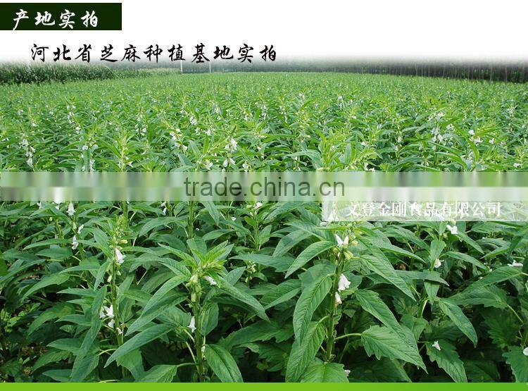 Sesame seeds for sale/Roasted sesame seeds