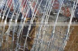 barbed wire