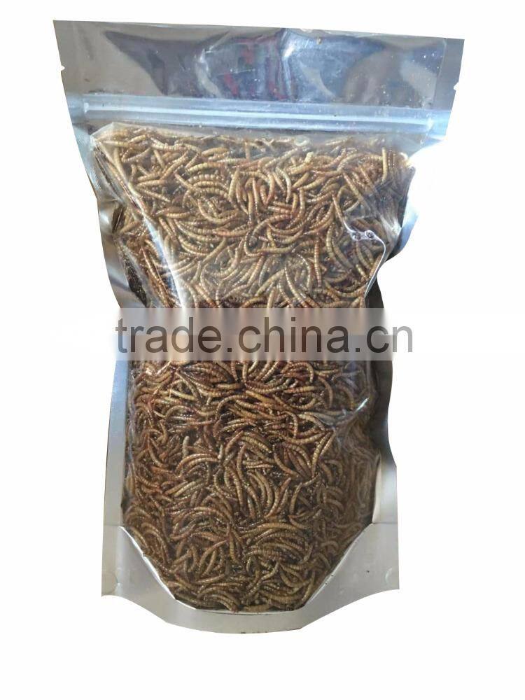 wholesale dried mealworm with 7% Moisture manufacturer