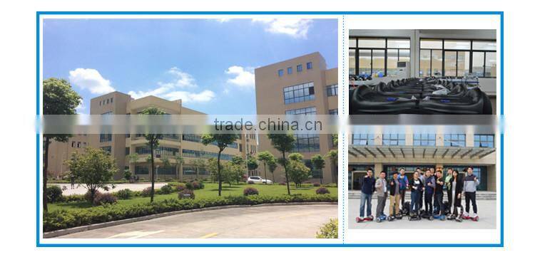 self balancing electric bike used by lots of people