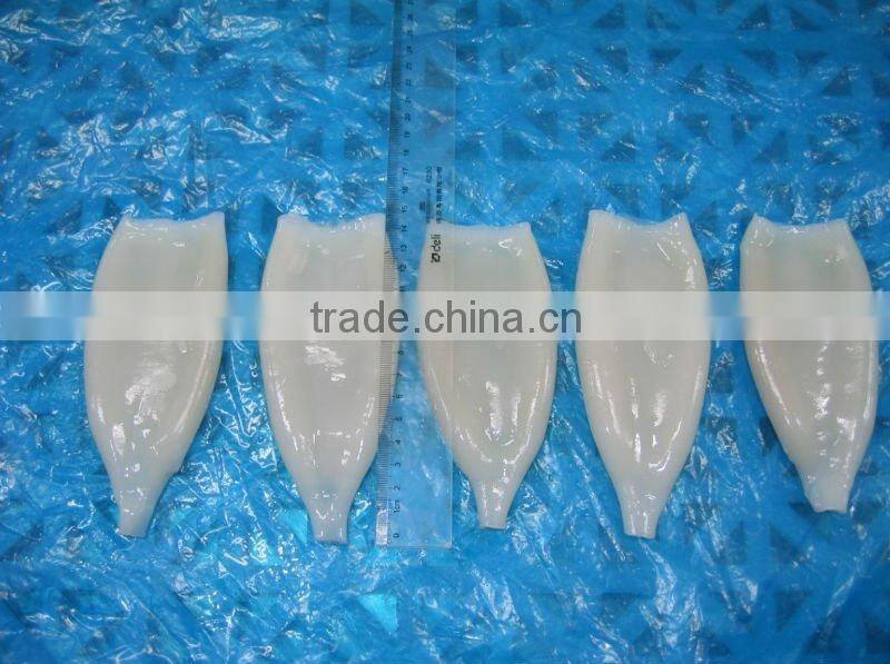 wholesale frozen cleaned squid tube seafood supplier
