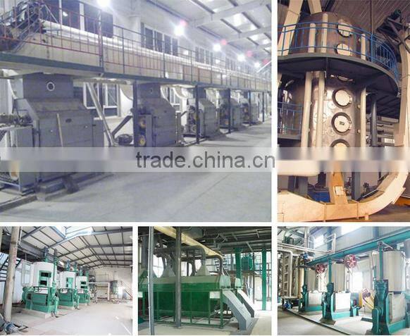 cold oil extraction machine/ oil extraction equipment