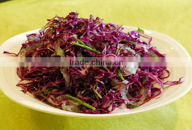 Limited chemical fertilizer hotbed farm selling Chinese green cabbage round cabbage