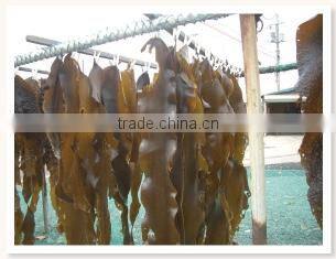 Easy to use and Delicious halal japanese food at reasonable prices , OEM available