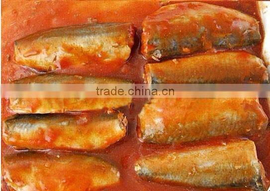Canned Tuna Fish Chinese factory High Quality Canned Fish Sardine Fish in Canned Food Canned Mackerel