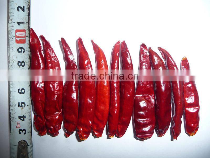 New crop dry red whole chilli exporter