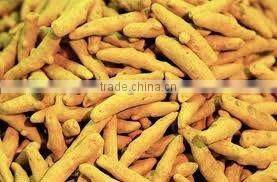 High Quality Yellow Turmeric Finger