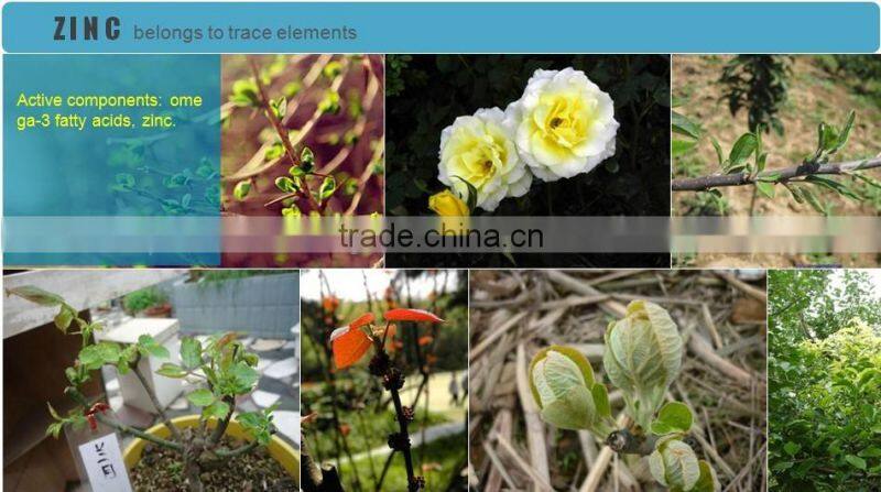 White crystal powder high quality microelements EDTA Zinc