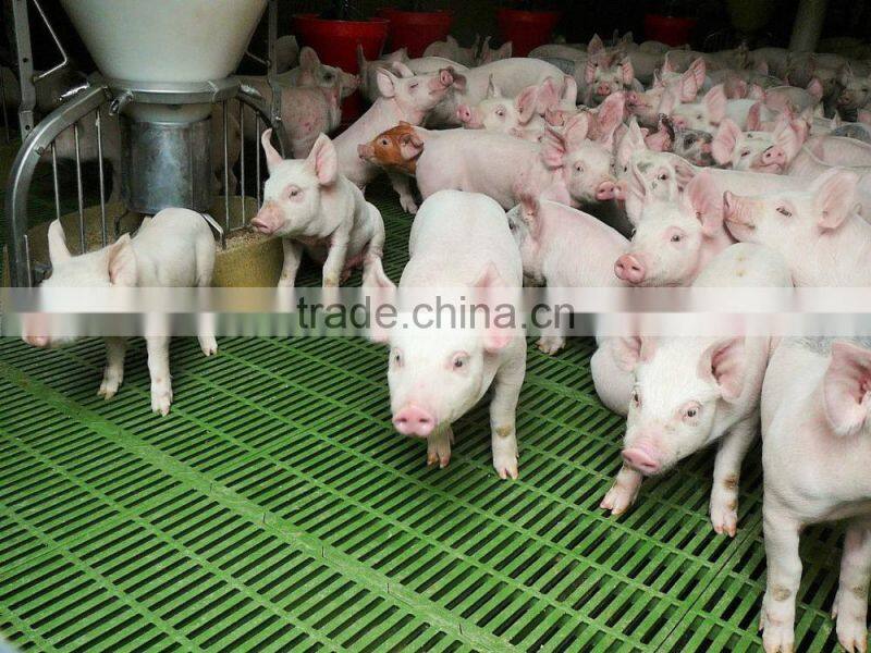 qingdao factory supply plastic pig/goat farm equipment slat floor