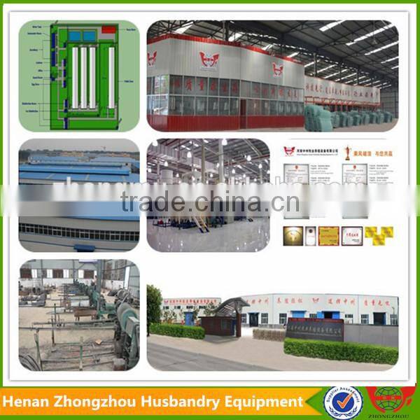 Chicken farm popular use automatic poultry manure belt removing system