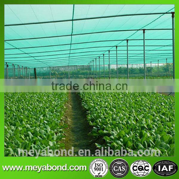 pe mesh pe insect mesh anti-insect net