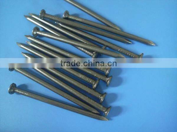 produce high quality galvanized smooth head nails(factory)