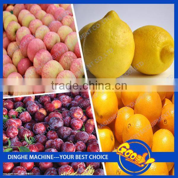 High quality seashell washing and cleaning machine