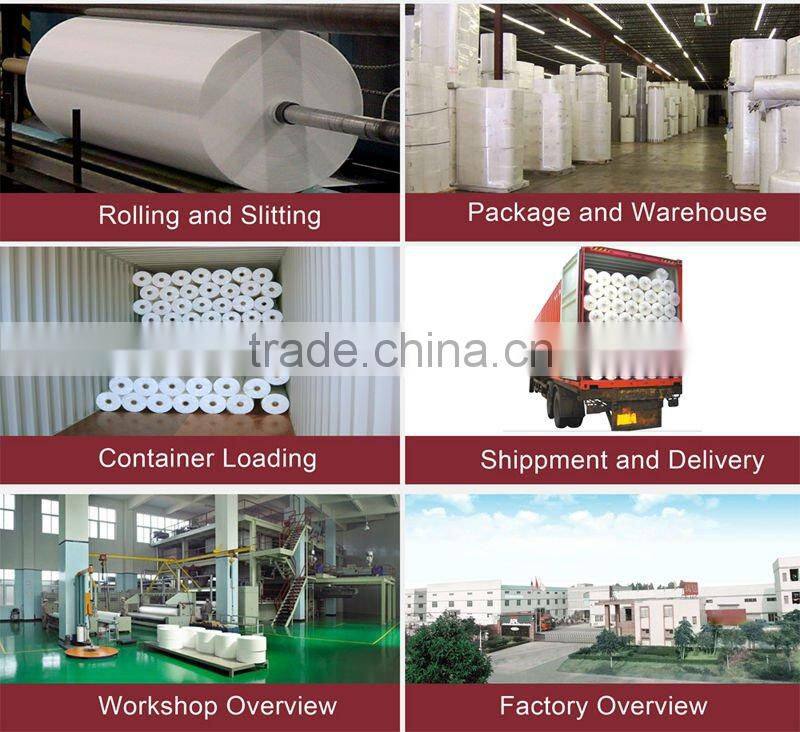 PE Laminated Nonwoven Fabric
