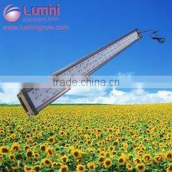 Factory direct sale 5000w led grow light