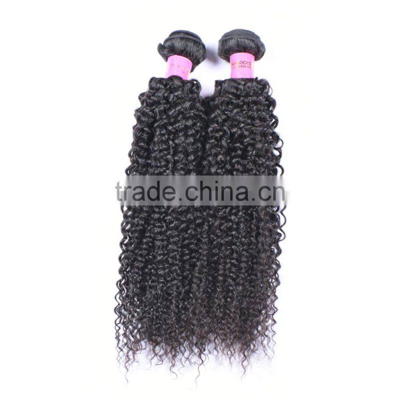 wholesale virgin hair vendors fast shipping Malaysian curly hair