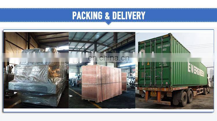 With 20 years of experience Stainless steel twin screw extruder Bread crumb production line