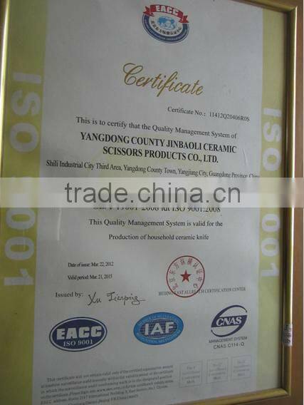 kitchen ceramic serrated knife