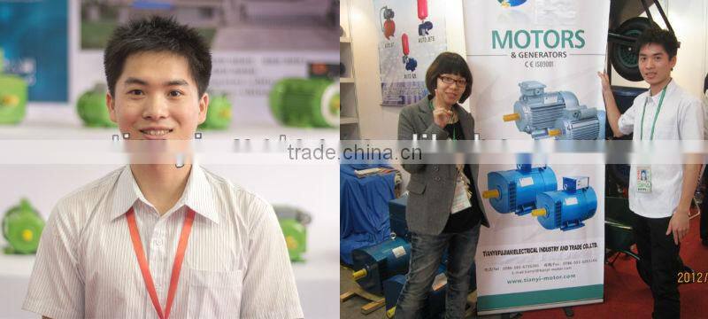 ST 15kw Brush Alternator Single Phase Generator