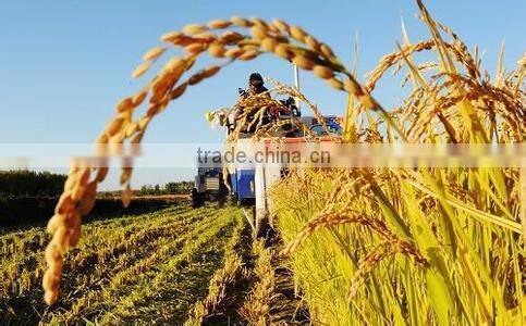 super absorbent polymer powder for agriculture planting