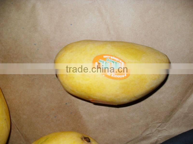 hot Selling Fresh Pakistani Chaunsa Mango ( Special offer for Iran )