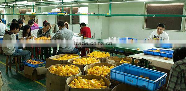 Shenzhen make custom cartoon vinyl toy