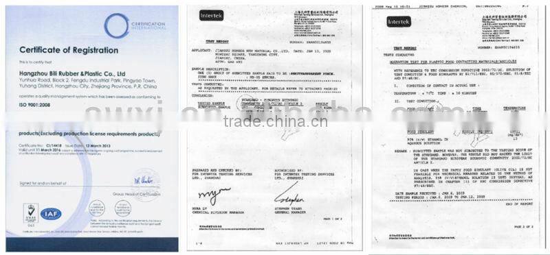 silicon carbide seal