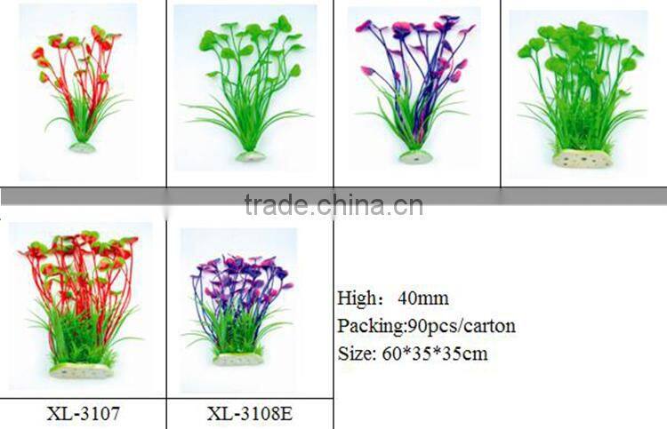 aqua plants water plants for sale