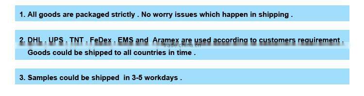 long range lightweight wireless video transmitter