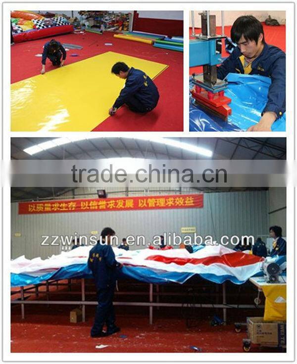 CE BV approved animal themed WSS-011 inflatable whale slide game for sale