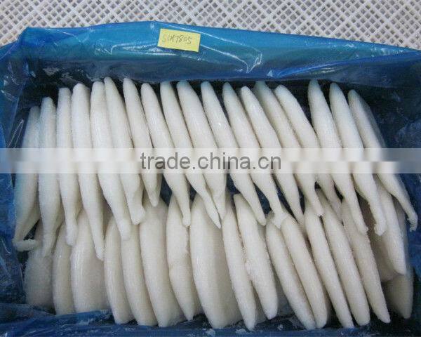 frozen squid tube U1-U20