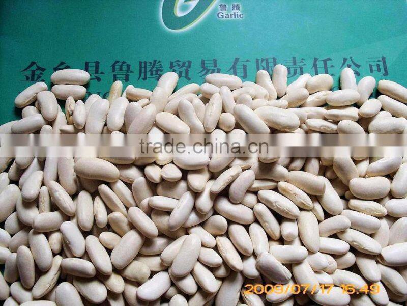 2014 Chinese white kidney bean with cheap price